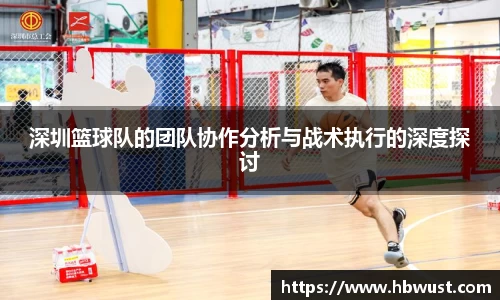 深圳篮球队的团队协作分析与战术执行的深度探讨